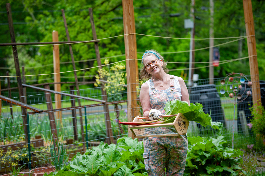 Growing Joy in the Garden and Kitchen...One Rhubarb Plant At A Time