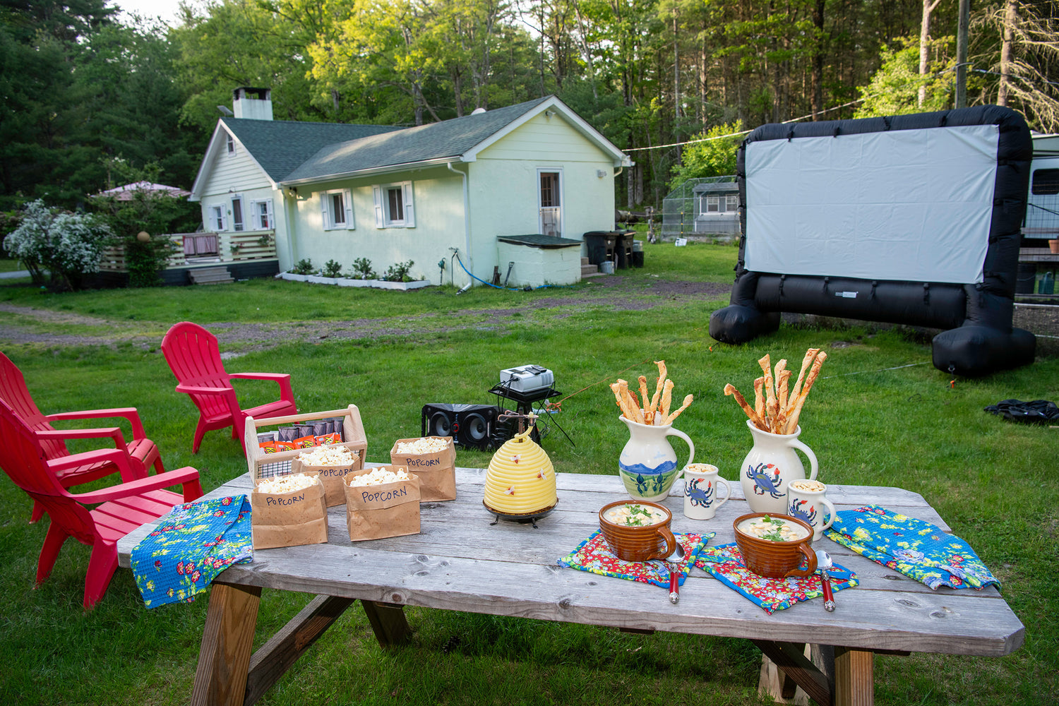 Outdoor Movie Night