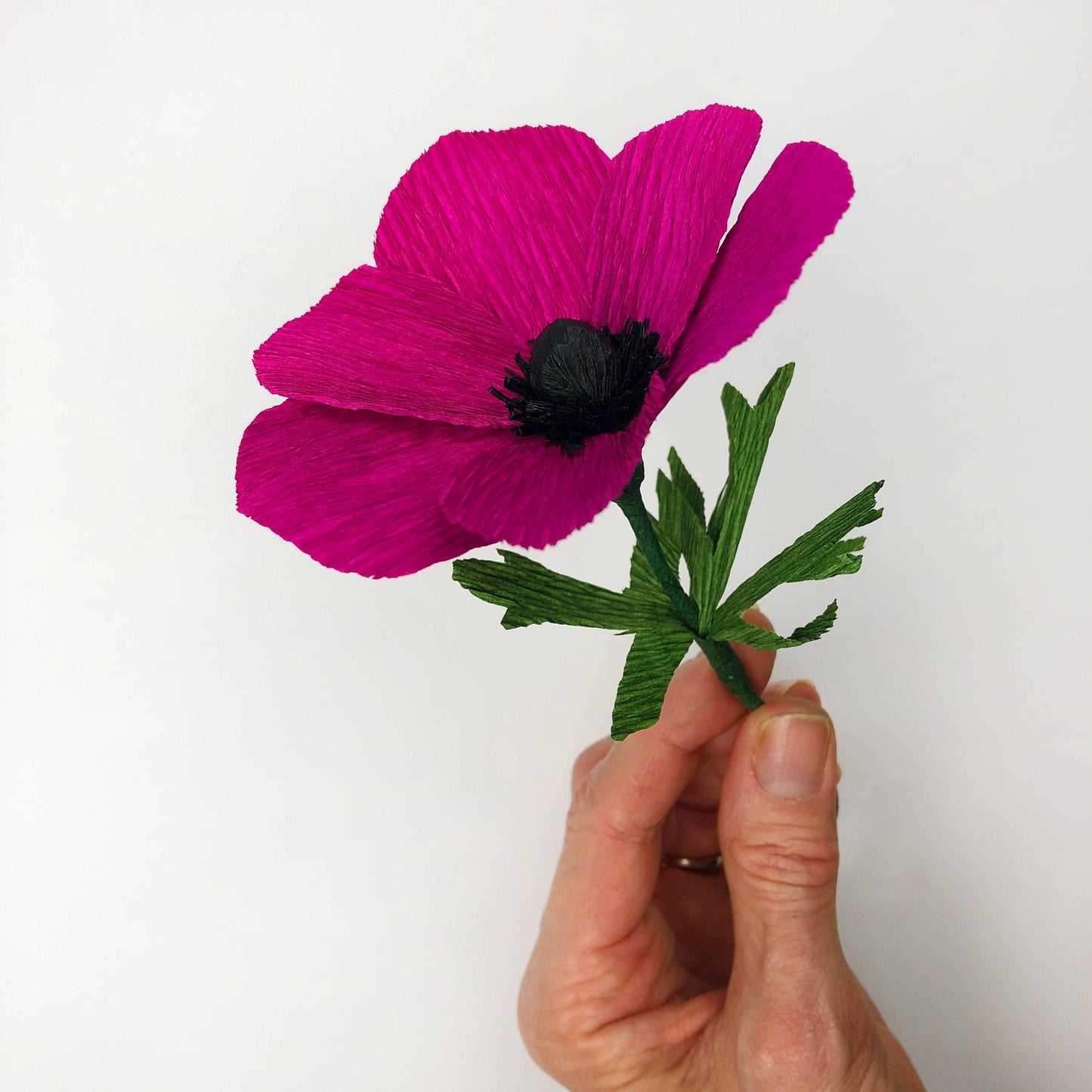 Paper Flower Kit in Anemone — Beginner Friendly