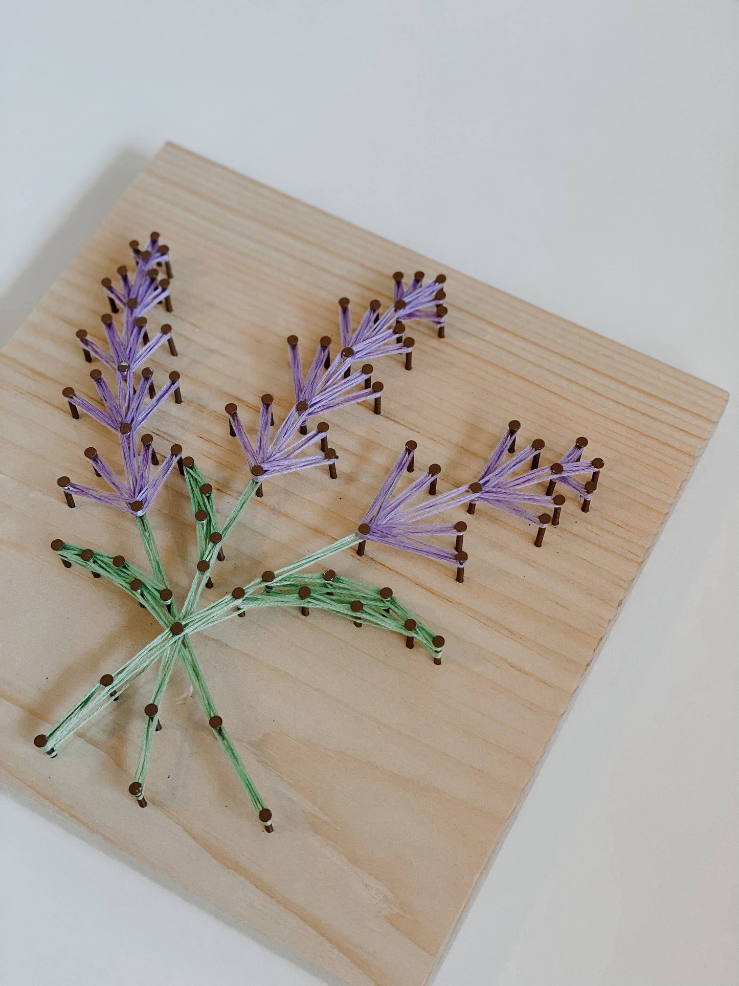 Lavender Sprigs DIY String Art Kit