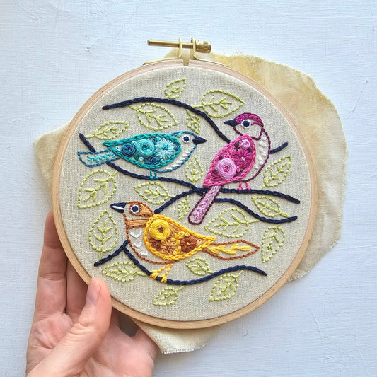 Colorful Birds Embroidery Kit — Beginner Friendly