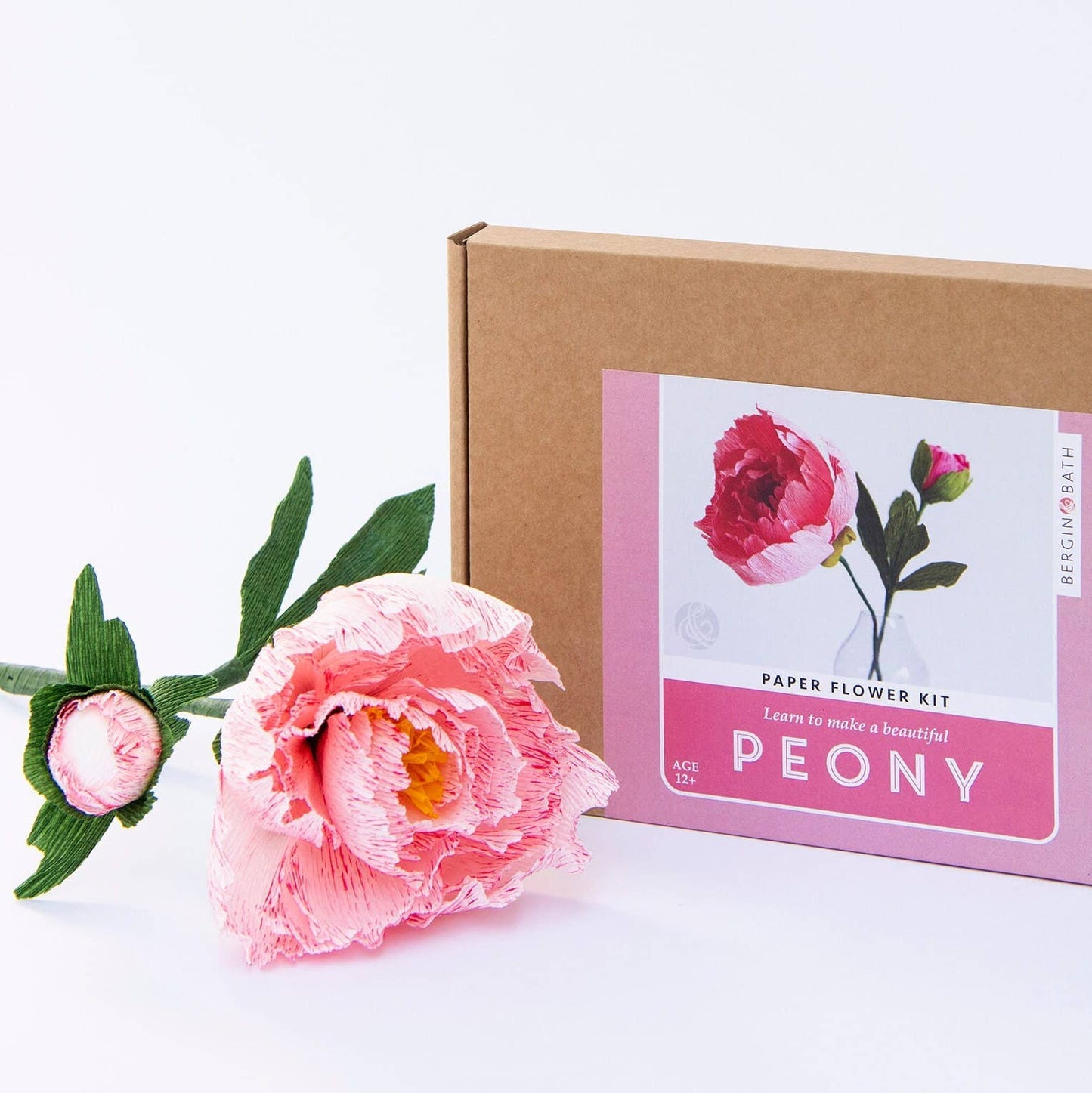 Paper Flower Kit in Peony — Beginner Friendly