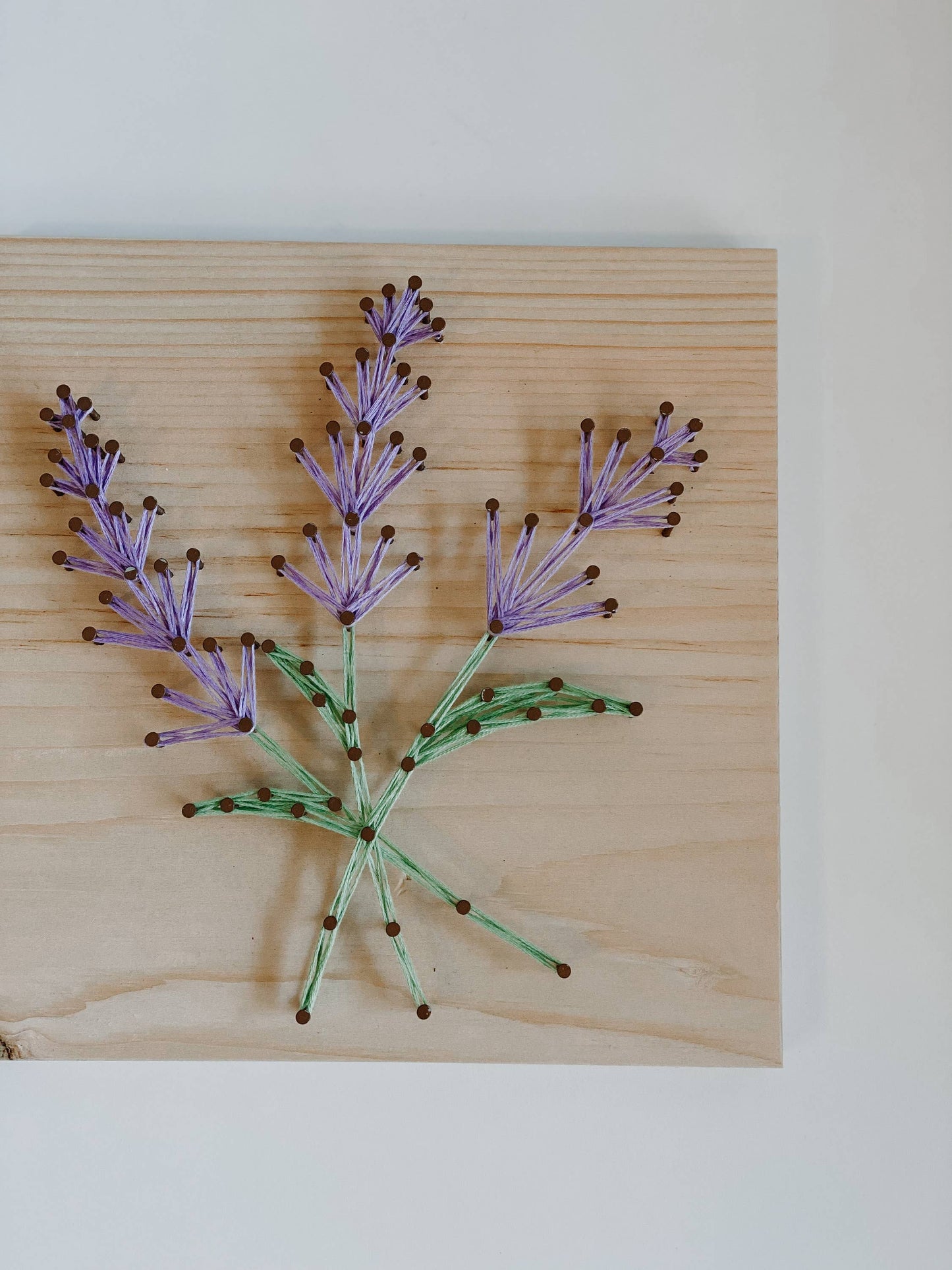 Lavender Sprigs DIY String Art Kit