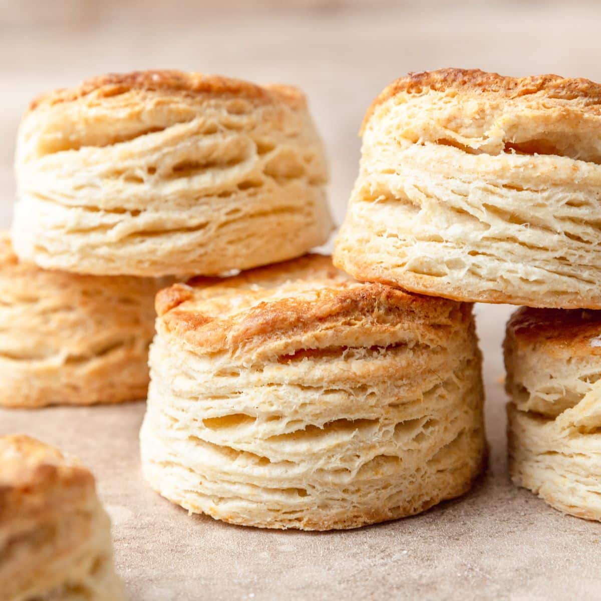 Better Than Store Bought with Chef Cheryl ✨ Tender & Flaky Fantasies: A Biscuit Baking Adventure with Handmade Biscuit Cutter ✨