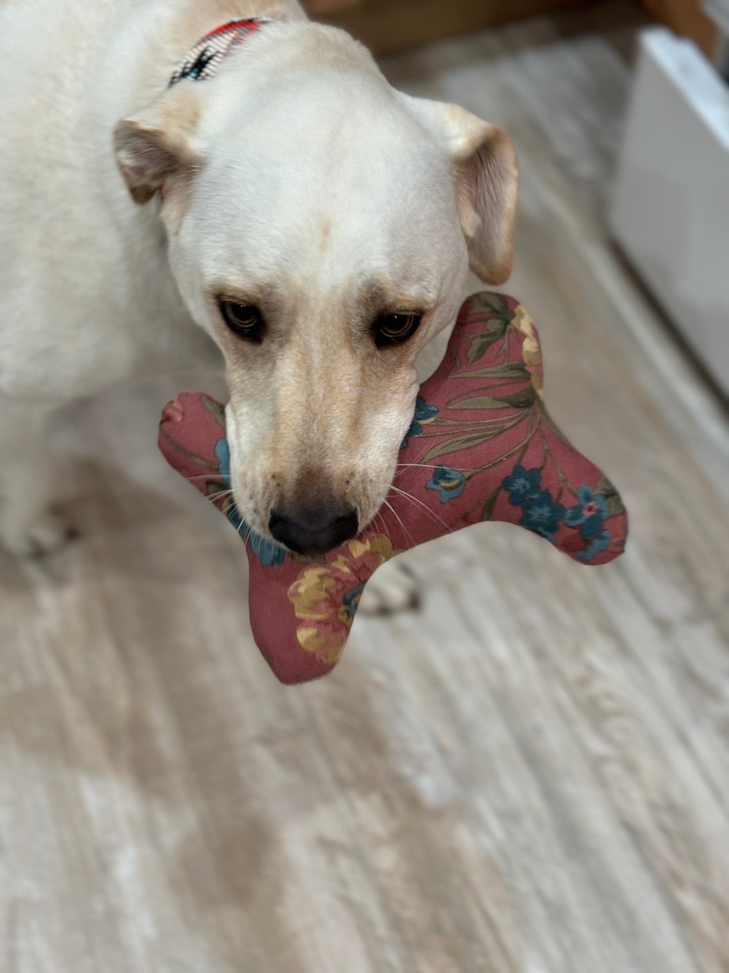 Chicago's Dog Mat and Toy Bone Set in Cottagecore Patchwork