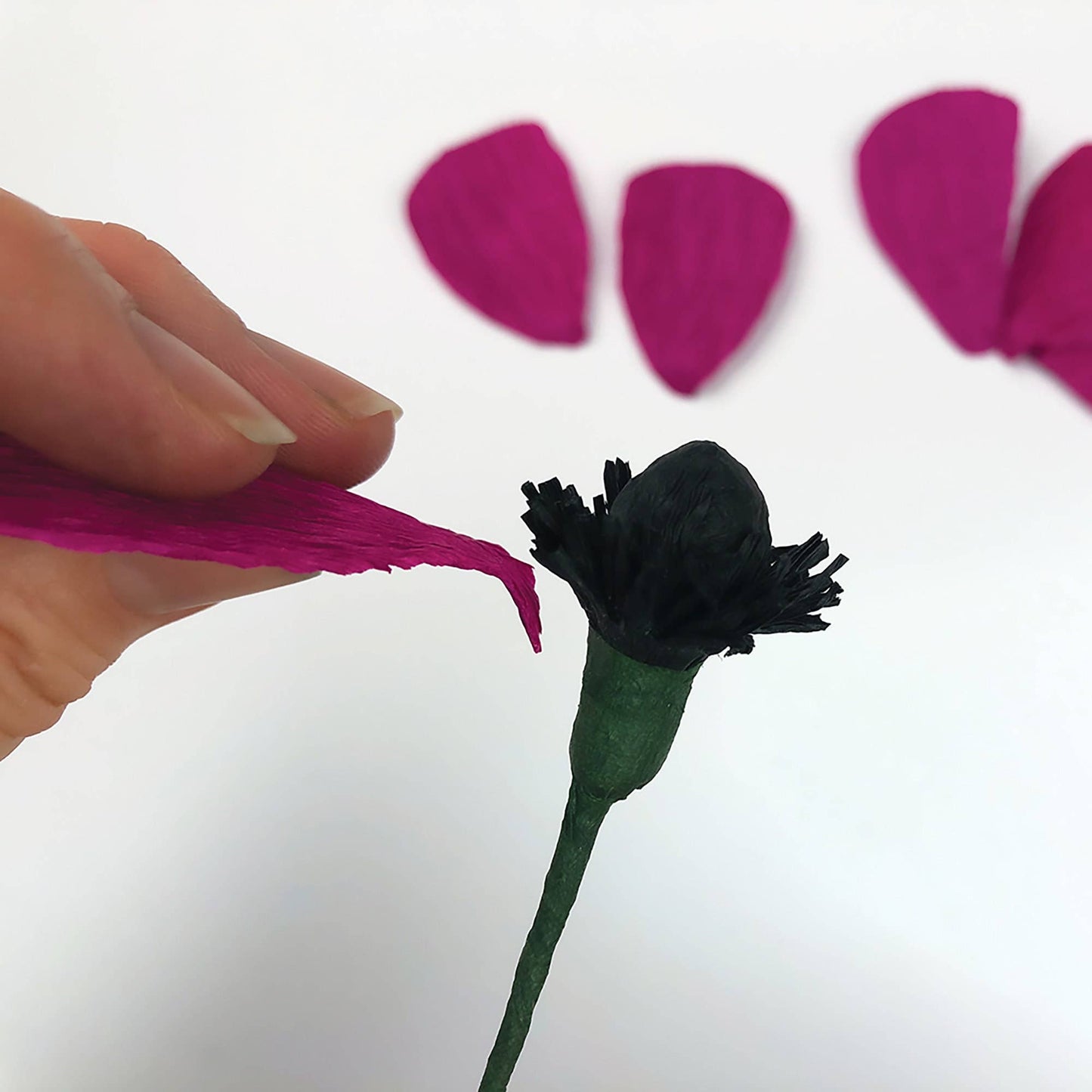 Paper Flower Kit in Anemone — Beginner Friendly