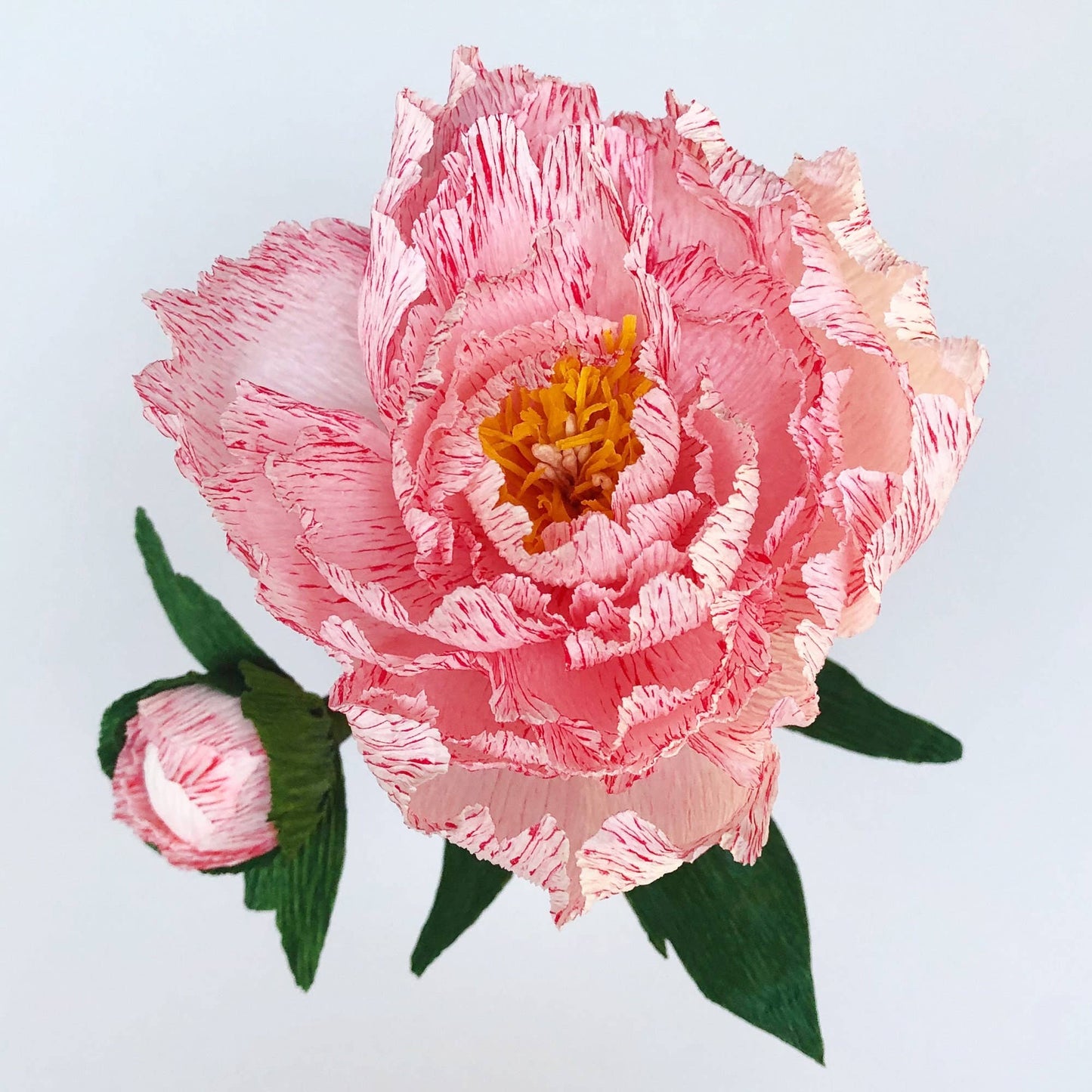 Paper Flower Kit in Peony — Beginner Friendly