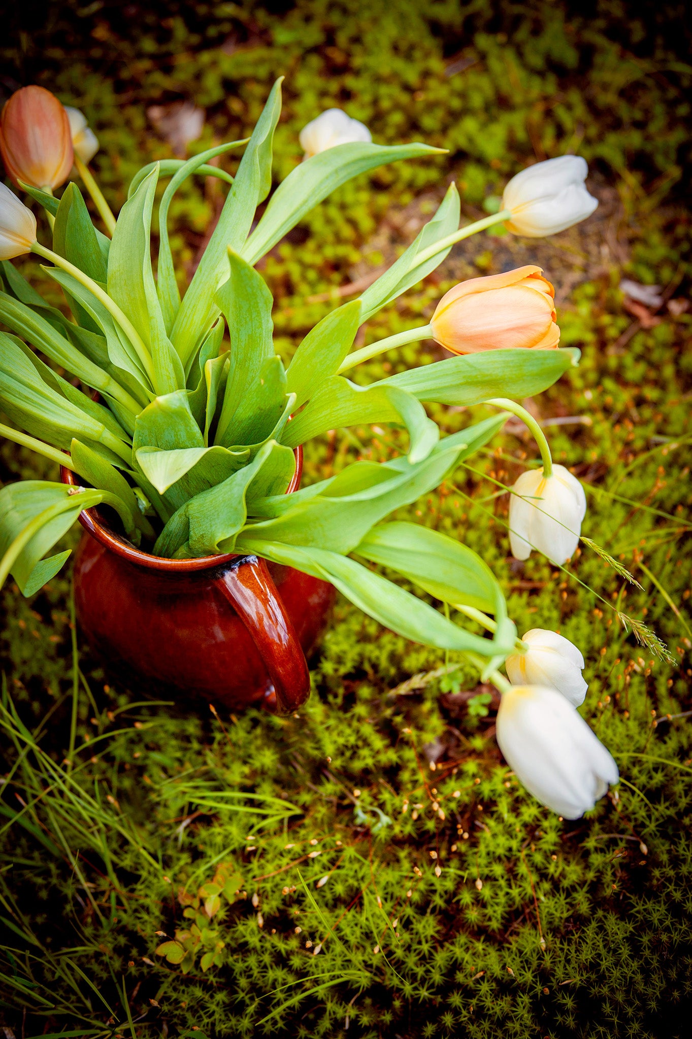 Copper Clay Carafe