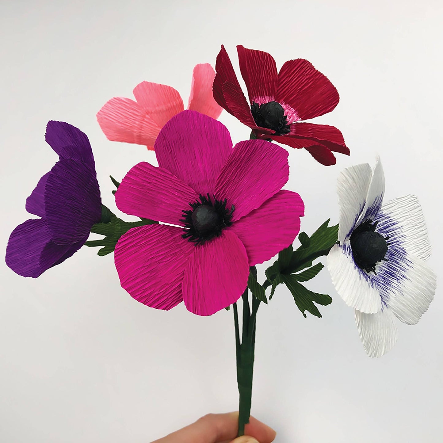 Paper Flower Kit in Anemone — Beginner Friendly