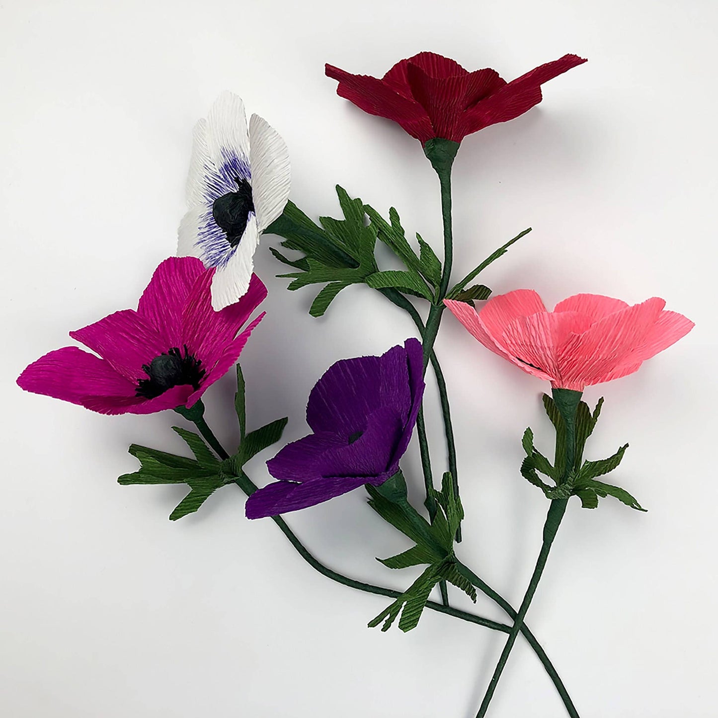 Paper Flower Kit in Anemone — Beginner Friendly