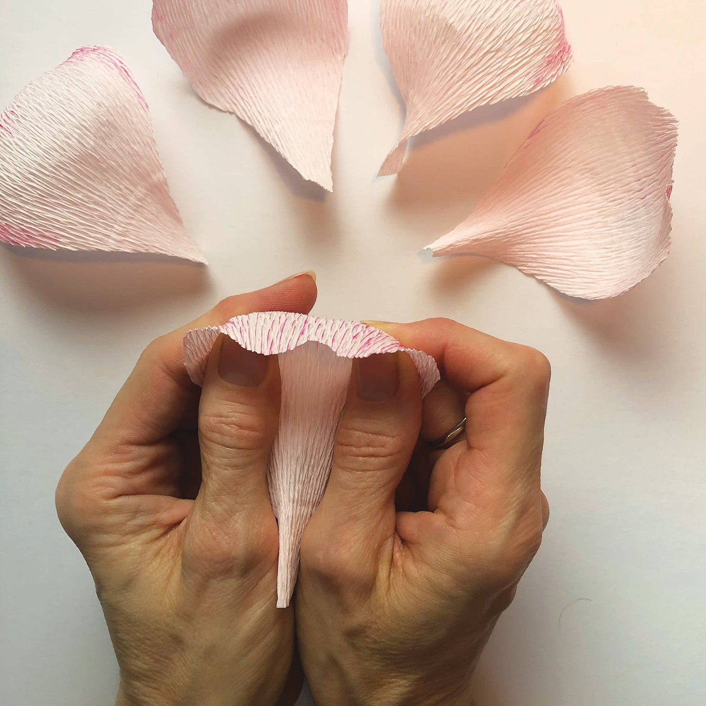 Paper Flower Kit in Peony — Beginner Friendly