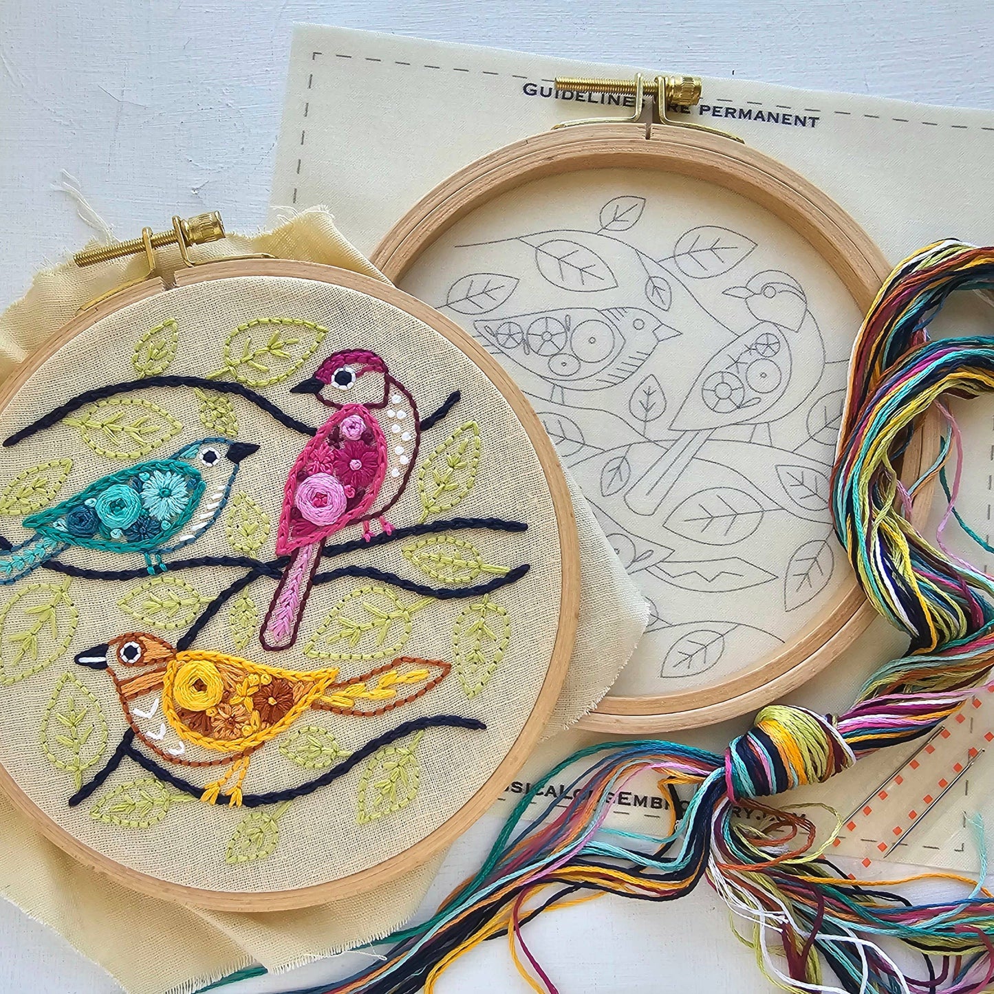 Colorful Birds Embroidery Kit — Beginner Friendly